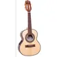 CAVACO ROZINI RC15.AT.N.LP P. BRASIL ESPLENDOR ATV. NAT. L.PTO EQ GC-2