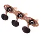 TARRAXA ROZINI RA405CAPG.A2B VIOLAO P. GROSSO NYLON COBRE VELHO B. ESCURO (JOGO)