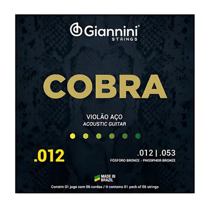 ENCORDOAMENTO VIOLAO GIANNINI BRONZE FOSFORO GEEFLKSF O.12