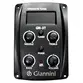 VIOLAO GIANNINI GSF-1D CEQ BRB ACO ELETROACUSTICO BRB