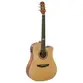VIOLAO STRINBERG SD200C NS FOLK FOSCO