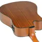 VIOLAO STRINBERG SD200C NS FOLK FOSCO