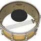 PELE REMO 10 CONTROLLED SOUND TRANSPARENTE C/CIRCULO PRETO CS-0310-10