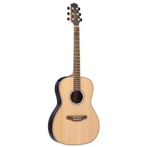 VIOLAO TAKAMINE GY93E N & TK40D