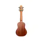 UKULELE BENSON UB-21 SEM/CAPA