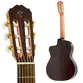 VIOLAO TAKAMINE GC6CE N & TP4T
