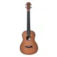 UKULELE SEIZI MAUI PLUS BARITONO ACUSTICO BAG - SAPELE