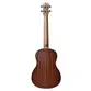 UKULELE SEIZI MAUI PLUS BARITONO ACUSTICO BAG - SAPELE