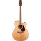 VIOLAO TAKAMINE GJ72CE N & TK40D