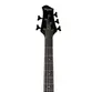 CONTRABAIXO TAGIMA XB-31 NTMS DF 5 CORDAS NATURAL MAHOGANY