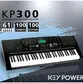 TECLADO KEYPOWER KP300