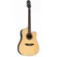 VIOLAO STRINBERG DUBLIN DE50SC N