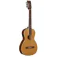 VIOLAO TAGIMA FS 500 NC EQ
