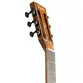 VIOLAO TAGIMA FS 500 NC EQ