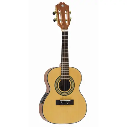 CAVACO STRINBERG CS25E NS ELETRICO