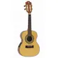 CAVACO STRINBERG CS25E NS ELETRICO