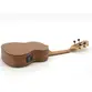 CAVACO STRINBERG CS25E NS ELETRICO