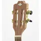 CAVACO STRINBERG CS25E NS ELETRICO