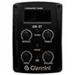 VIOLAO GIANNINI GSF-1D CEQ DBB ACO ELETROACUSTICO DBB
