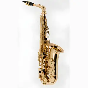 SAX ALTO VOGGA VSAS701N