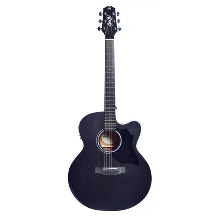 VIOLAO ELETRICO SEIZI NEO SHOGUN CUTAWAY LTD ED - OPEN PORE BLACK