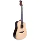 VIOLAO PHX DREADNOUGHT CUTAWAY ACO ELET. NATURAL SF-199 NA