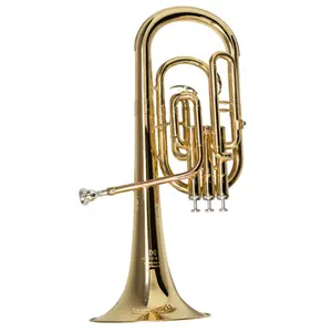 SAX HORN MICHAEL WSHM35N EB