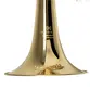 SAX HORN MICHAEL WSHM35N EB