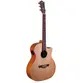VIOLAO TAGIMA MEDIUM JUMBO EQ ACO T/SPRUCE SOLIDO B/S SAPELE FRONTIER NTOP