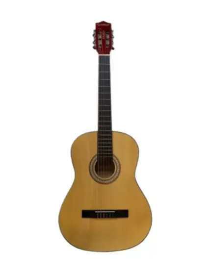 VIOLAO WALDMAN ACUSTICO 6 CORDAS DE ACO FL-39S NT