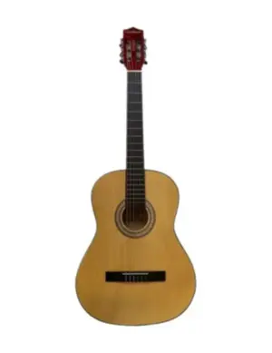 VIOLAO WALDMAN ACUSTICO 6 CORDAS DE ACO FL-39S NT