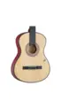 VIOLAO WALDMAN ELETROACUSTICO 6 CORDAS DE ACO FLCE-39S NT