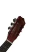 VIOLAO WALDMAN ELETROACUSTICO 6 CORDAS DE ACO FLCE-39S AM