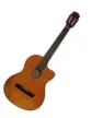 VIOLAO WALDMAN ELETROACUSTICO 6 CORDAS DE ACO FLCE-39S AM