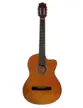 VIOLAO WALDMAN ELETROACUSTICO 6 CORDAS DE ACO FLCE-39S AM