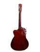 VIOLAO WALDMAN ELETROACUSTICO 6 CORDAS DE ACO FLCE-39S AM
