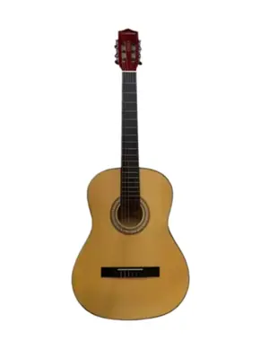VIOLAO WALDMAN ELETROACUSTICO 6 CORDAS DE NYLON FLCE-39N NT