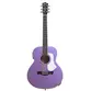 VIOLAO TAGIMA GS MINI NON-CUTAWAY EQ ACO T/ SPRUCE B/S AGATHIS LATIN AMERICA PORTENO NC MLLS