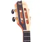 BANJO ROZINI RJ17.AT.F SHOW ATIVO FOSCO EQ GC-2