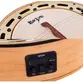 BANJO ROZINI RJ17.AT.F SHOW ATIVO FOSCO EQ GC-2