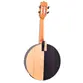 BANJO ROZINI RJ17.AT.F SHOW ATIVO FOSCO EQ GC-2