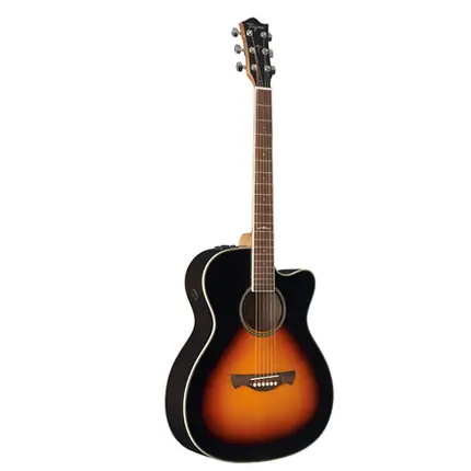 VIOLAO TAGIMA MEDIUM JUMBO EQ ACO T/SPRUCE B/S BLACK WALNUT WS-30 DSB