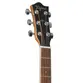 VIOLAO TAGIMA MEDIUM JUMBO EQ ACO T/SPRUCE B/S BLACK WALNUT WS-30 DSB