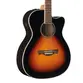 VIOLAO TAGIMA MEDIUM JUMBO EQ ACO T/SPRUCE B/S BLACK WALNUT WS-30 DSB