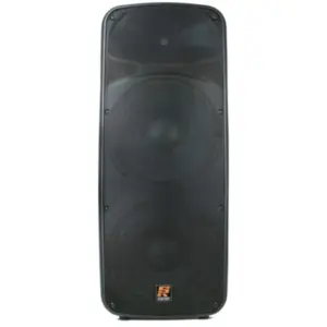 CAIXA STANER ACUSTICA SR-615A