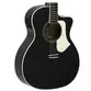 VIOLAO TAGIMA GRAND AUDITORIUM CUTAWAY EQ ACO T/ SPRUCE B/S AGATHIS LATIN AMERICA RIO NEGRO BKS