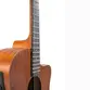 VIOLAO TAGIMA GRAND AUDITORIUM CUTAWAY EQ ACO T/ SAPELE B/S SAPELE DALLAS GRAN RESERVA NTOP