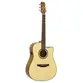 VIOLAO STRINBERG DIAMOND DD1C N FOLK 1