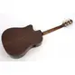 VIOLAO STRINBERG DIAMOND DD3SC RT NS FOLK 1