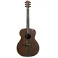VIOLAO TAGIMA GRAND AUDITORIUM HALF CUTAWAY ARMREST EQ ACO T/ SAPELE B/S SAPELE DETROIT DKMOP